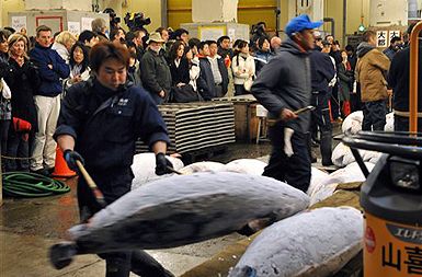 Največjo ribjo tržnico na svetu, tokijsko tržnico Tsukiji, so danes znova odprli za obiskovalce. Za javnost so jo zaprli, ker so se radovedneži, večinoma turisti, obnašali neprimerno – dotikali so se rib, z bliskavicami pa so motili kupce in prodajalce.