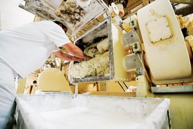 Šumijeva (Žitova)tovarna v Krškem je edina v Sloveniji, ki še vedno proizvaja žvečilne gumije. Veliko večino izdelkov izvozijo na vzhodne trge, od teh velik delež pod imenom partnerskega podjetja Hitschler. Ta je tudi naročnik \