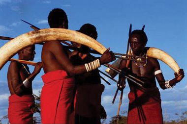 Gilles Nicolas je poslal reviji National Geographic fotografije afriškega ljudstva, ki pri iniciaciji uporabljajo slonje okle. A na njih so lepo vidne šifre za označbo, saj si je le te izposodil iz državnega ministrstva.  
