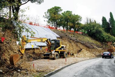 Sporni poseg na rastišču varovanega drevoreda