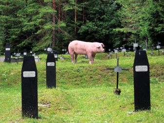 Obiskovalec vojaškega pokopališča