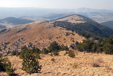 Volovjo reber so načrtovalci kar »izrezali« iz območja Nature