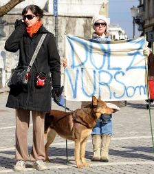 Protest ljubiteljev psov proti VURS-u
