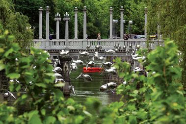 Inštalacija umetnikov Caroline Frimat in Jeana-Pierra Davida nad Ljubljanico  