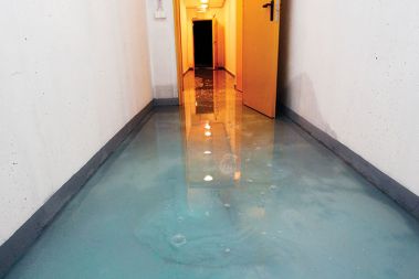 Vegrad je šel v stečaj, Hilda Tovšak se je upokojila, zadnji veliki projekt tega nekoč uspešnega gradbenega podjetja, stanovanjska soseska Celovški dvori v ljubljanski Šiški, pa je ostal nedokončan. Stanovanja so sicer suha, toda podzemne kleti in garaže so bile še v začetku tega meseca, ko so fotografi še lahko prosto vstopali v objekte, polne vode in plesni. 