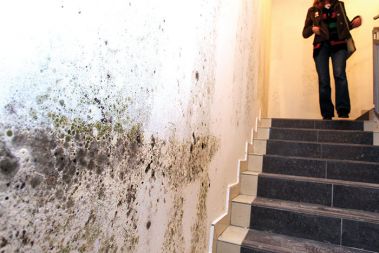 Vegrad je šel v stečaj, Hilda Tovšak se je upokojila, zadnji veliki projekt tega nekoč uspešnega gradbenega podjetja, stanovanjska soseska Celovški dvori v ljubljanski Šiški, pa je ostal nedokončan. Stanovanja so sicer suha, toda podzemne kleti in garaže so bile še v začetku tega meseca, ko so fotografi še lahko prosto vstopali v objekte, polne vode in plesni. 