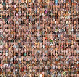 Face-to-Facebook