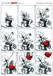 /media/www/slike.old/mladina/strip_41tanja_komadina_ko_zorijo_jagode.jpg