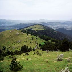 /media/www/slike.old/mladina/tvolovja_arhiv_mladine.jpg