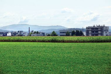 Mengeško polje - taka pozidava najboljših kmetijskih zemljišč odslej ne bo mogoča ali pa bo vsaj mnogo bolj otežena