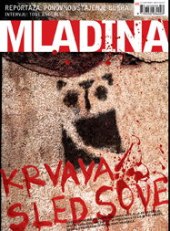 Mladina 45 | 14. 11. 2004
