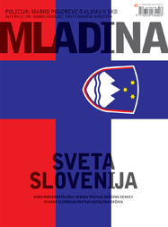 Mladina 45 | 13. 11. 2005