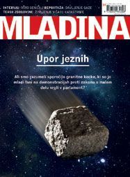Mladina 14 | 2011