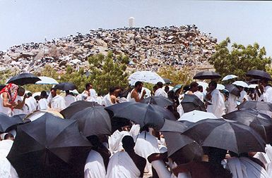 Arafat