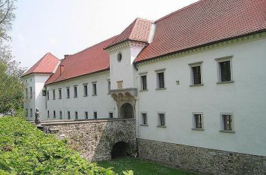 /media/www/slike.old/novice/800pxgradfuzineljubljana.jpg