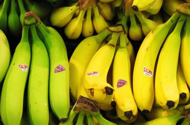 /media/www/slike.old/novice/banana.jpg