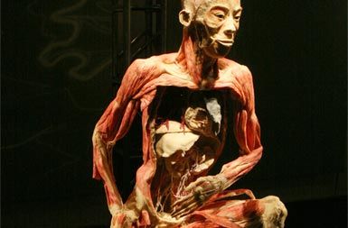 /media/www/slike.old/novice/bodies.jpg
