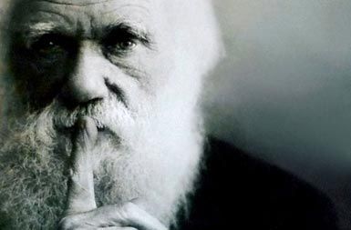 /media/www/slike.old/novice/darwinvelikap1010991_matizrez.jpg