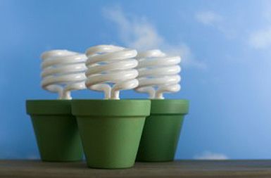 /media/www/slike.old/novice/ecobulbs300x199.jpg
