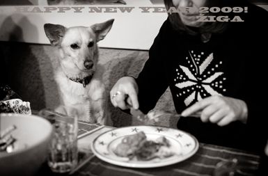/media/www/slike.old/novice/happy2009byzigakoritnikjpgmala.jpg