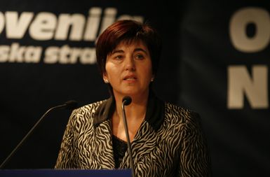 Ljudmila Novak: Džamija lahko škoduje slovenski kulturi