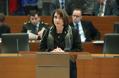 Ministrica Ljubica Jelušič, ki že devet mesecev išče, kdo se skriva za peticijo Ukinimo vojsko.