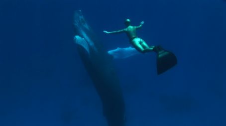 /media/www/slike.old/novice/mandy_and_humpback_2.jpg
