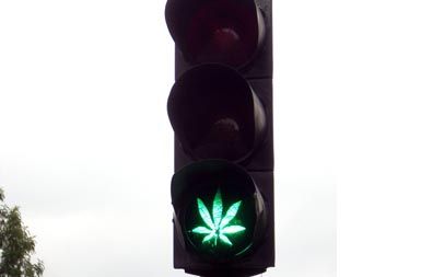 /media/www/slike.old/novice/marihuana.jpg