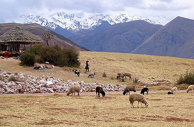 /media/www/slike.old/novice/peru.gif