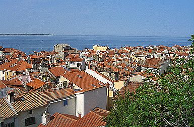 /media/www/slike.old/novice/piran_copy1.gif