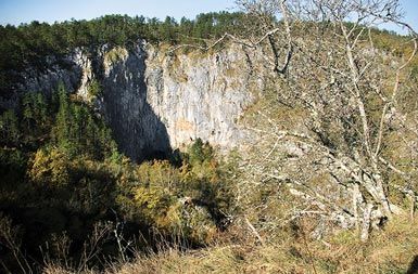 Škocjanske jame