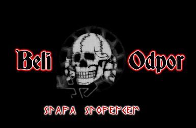 Shod zveze domoljubnih društev odpade, ker ni bil prijavljen