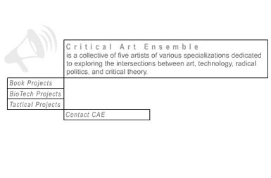 Izsek iz spletne strani Critical Art Ensemble