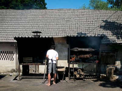 princ živali s pribočnikom