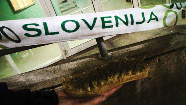 Dokazni material: ščetka po uporabi