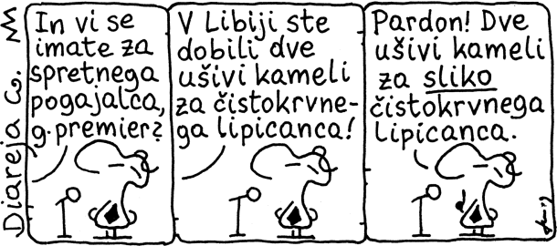 Diareja