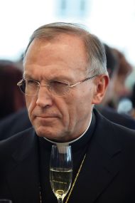V kontemplaciji