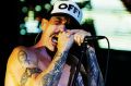 Rock orjaki Red Hot Chili Peppers, svetovna turneja I’m With You, Stadthalle, Dunaj (A) 