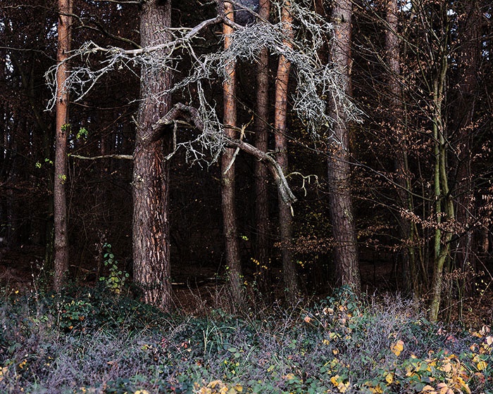 Fotografija iz cikla Sandre Vitaljić Neplodna tla: Bučje, 2009