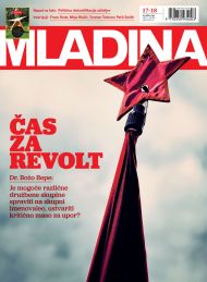 Mladina 17 | 2012