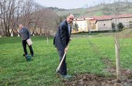 Ko ekonomija posili ekologijo