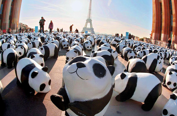 Svetovni sklad za naravo WWF je najvplivnejša okoljska organizacija na svetu, ki pripravlja mednarodne akcije, na primer reševanje tigrov in pragozda. A ob podrobnejšem vpogledu v njegovo delo pridemo do ne ravno navdušujoče ugotovitve: številne njegove dejavnosti bolj koristijo industriji kot okolju in ogroženim vrstam. Na fotografiji je reklamna zvijača WWF-a leta 2008 v Parizu.   