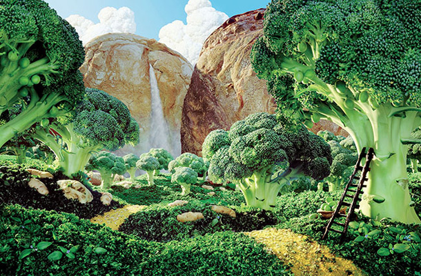 Brokolijev gozd