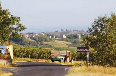 Srečujemo samo traktorje z grozdjem.