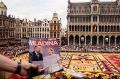 Cvetlična preproga, Bruselj, Belgija / Foto Katja in Boštjan Šauperl