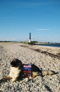 Kraševka Iša na otoku Saaremaa, Estonija / Foto Maša