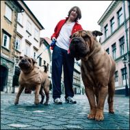 Martin, Hag in Bluz: »Decembrski sprehod.«