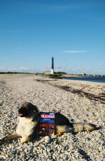 Kraševka Iša na otoku Saaremaa, Estonija / Foto Maša
