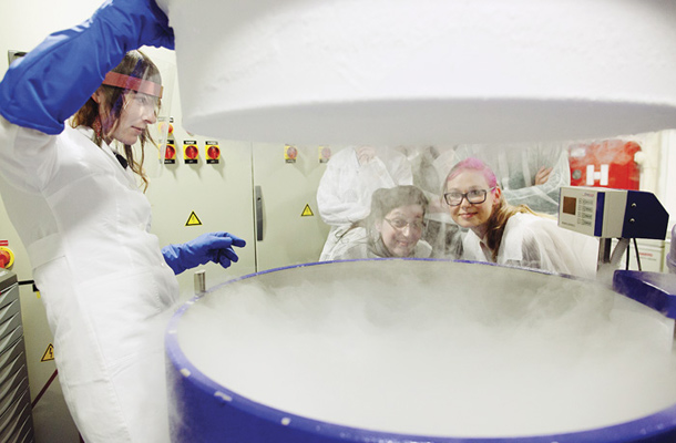 Špela Petrič & Robertina Šebjanič: ‘Humalga: Injektiranje’, simpozij Biobanka popkovnične krvi, Trzin