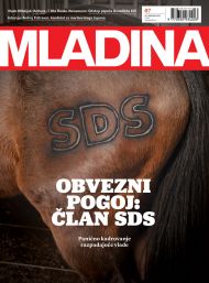 Mladina 7 | 2013